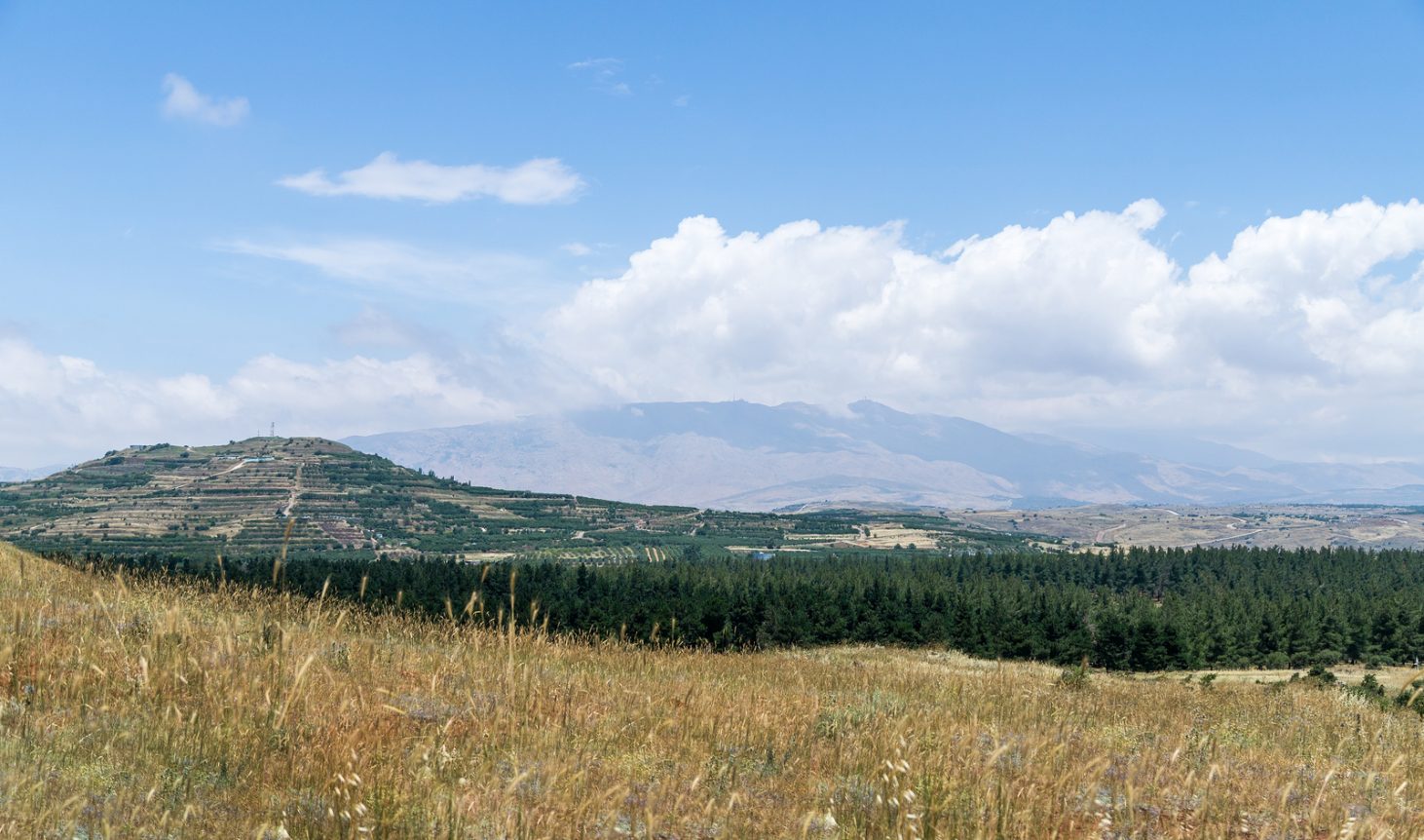 A view of the nature on the Golan Heights and mountain Hermon in Israel.