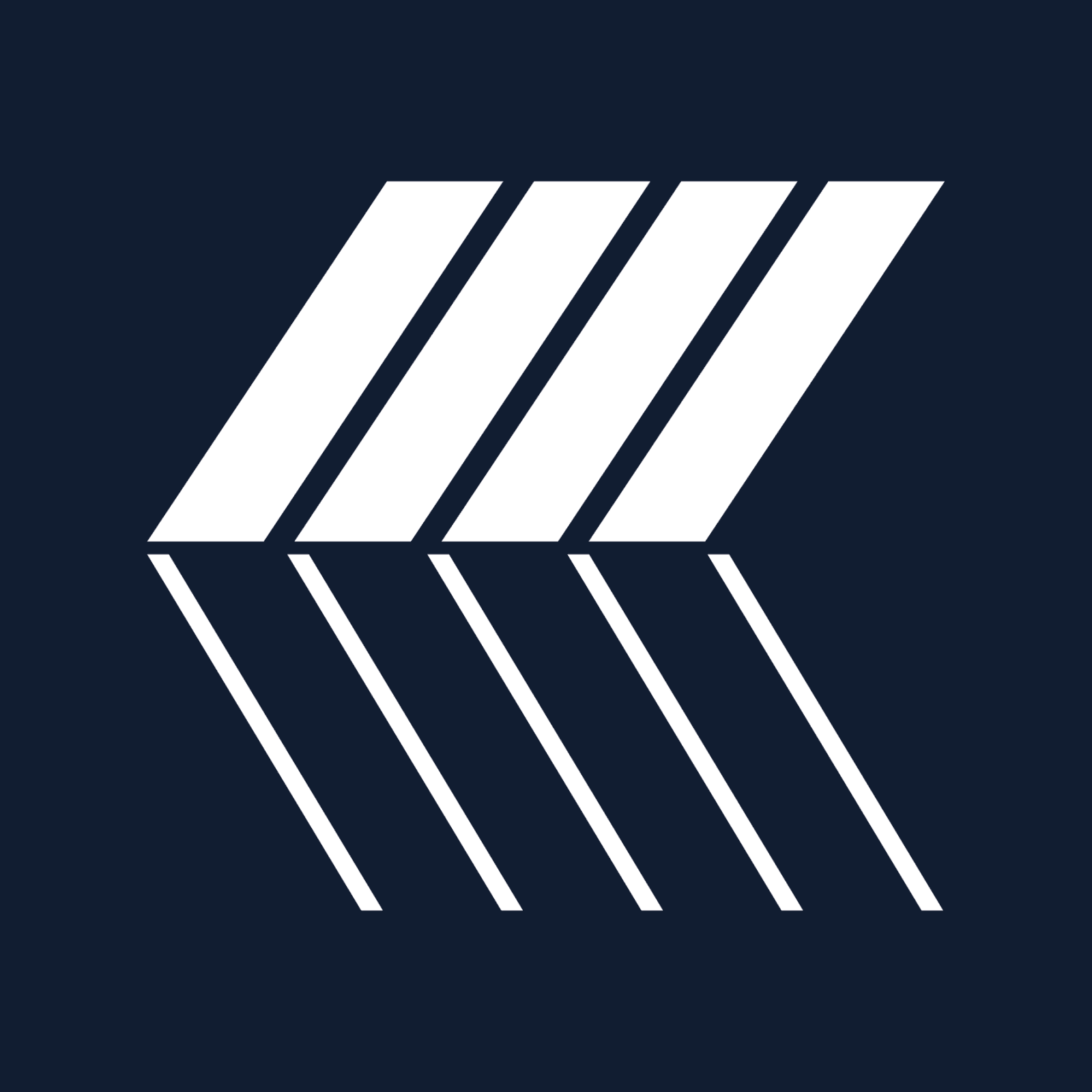 NIPP National Institute for Public Policy logo